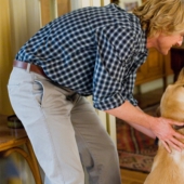 Don't watch for the faint of heart: This website warns if a dog will die in the movie Don't watch for the faint of heart: This website warns if a dog will die in the movie