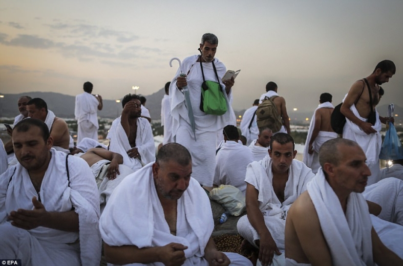 Dos millones de musulmanes se reunieron en el Monte Arafat para la culminación del Hajj