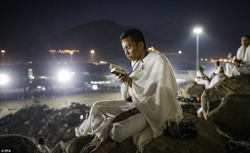 Dos millones de musulmanes se reunieron en el Monte Arafat para la culminación del Hajj