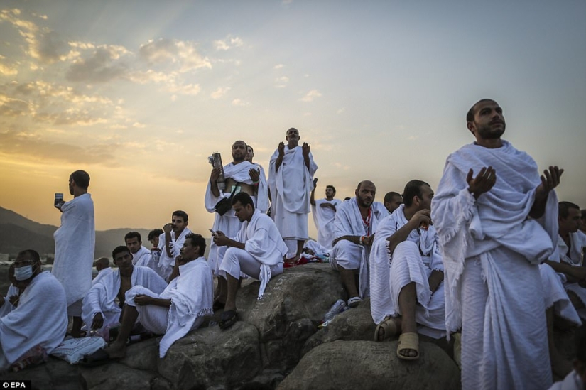 Dos millones de musulmanes se reunieron en el Monte Arafat para la culminación del Hajj