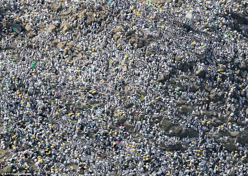 Dos millones de musulmanes se reunieron en el Monte Arafat para la culminación del Hajj