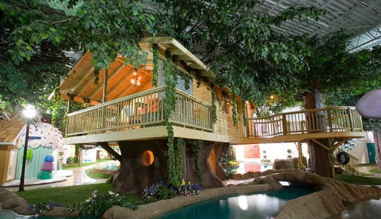 Dream Office