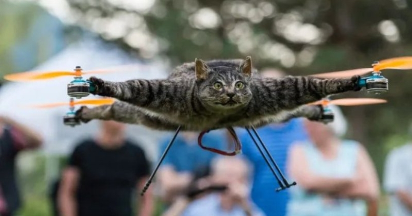 Drones from dead animals — a strange startup from the Netherlands