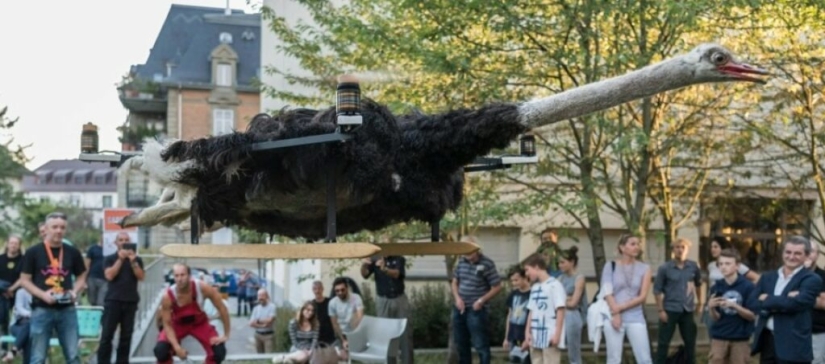 Drones from dead animals — a strange startup from the Netherlands