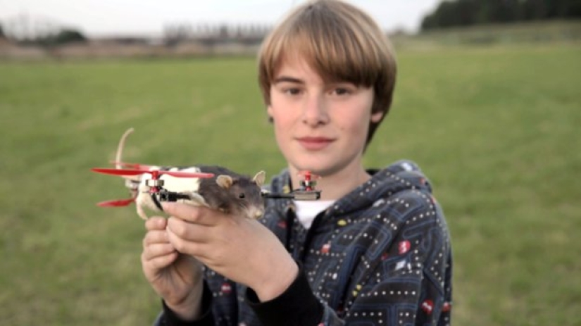 Drones from dead animals — a strange startup from the Netherlands
