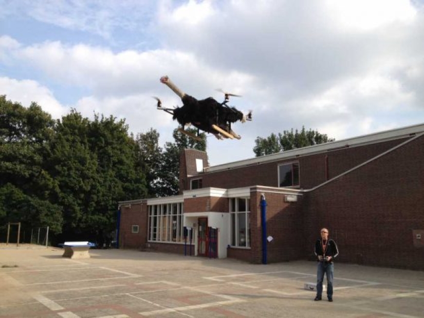 Drones from dead animals — a strange startup from the Netherlands