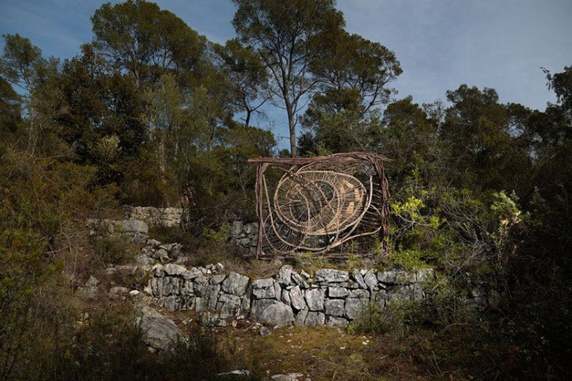Durante un año de vida en el bosque, Spencer Biles lo convirtió en un cuento de hadas Durante un año de vida en el bosque, Spencer Biles lo convirtió en un cuento de hadas