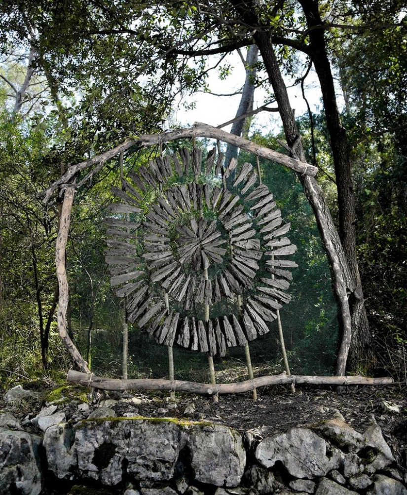 During a year of living in the forest, Spencer Biles turned it into a fairy tale During a year of living in the forest, Spencer Biles turned it into a fairy tale