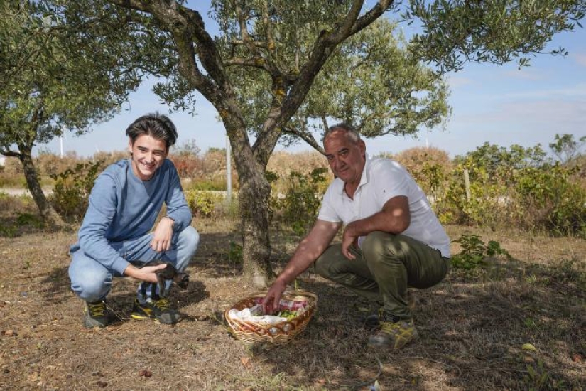 Dust-free job: an Italian town has opened unusual vacancies