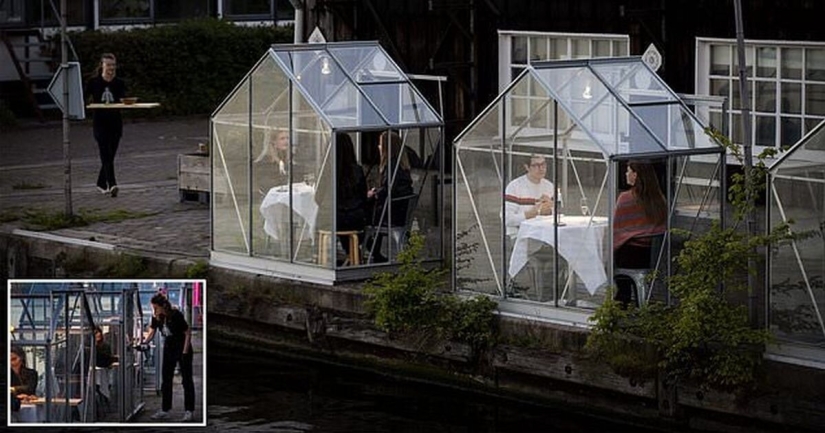 Dutch restaurant planted visitors to have dinner in greenhouses Dutch restaurant planted visitors to have dinner in greenhouses