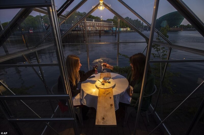 Dutch restaurant planted visitors to have dinner in greenhouses Dutch restaurant planted visitors to have dinner in greenhouses