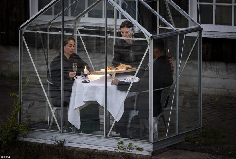 Dutch restaurant planted visitors to have dinner in greenhouses Dutch restaurant planted visitors to have dinner in greenhouses