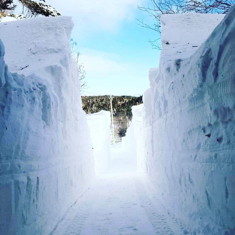 ¿Echas de menos la nieve? 17 fotos de Canadá cubierto de nieve y 1 increíble video timelapse ¿Echas de menos la nieve? 17 fotos de Canadá cubierto de nieve y 1 increíble video timelapse