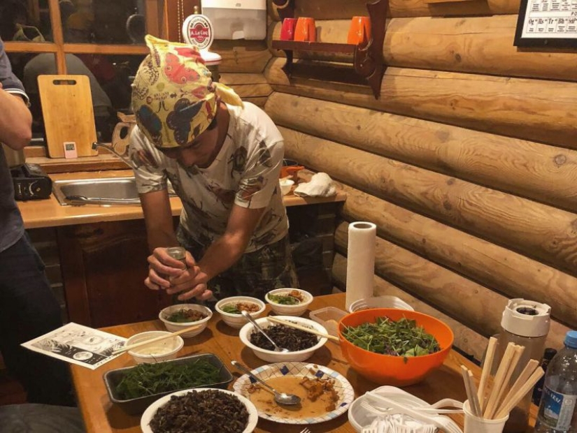 El amor es malvado: un hombre japonés contó su aventura con una cucaracha hembra