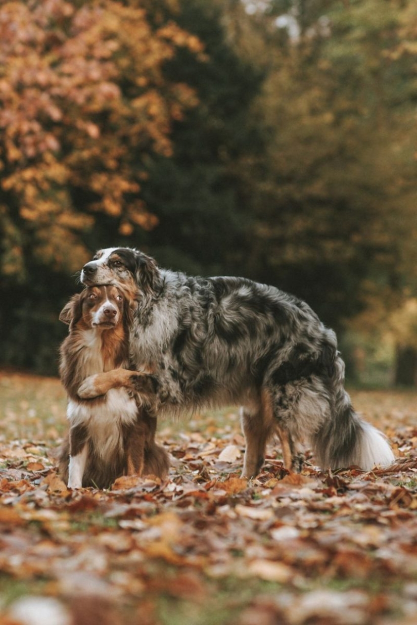 El amor está en el aire: las mejores fotos del concurso Ágora #Love2020 El amor está en el aire: las mejores fotos del concurso Ágora #Love2020