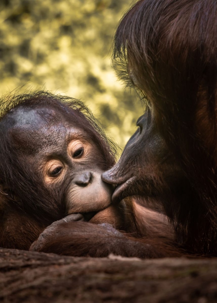 El amor está en el aire: las mejores fotos del concurso Ágora #Love2020 El amor está en el aire: las mejores fotos del concurso Ágora #Love2020