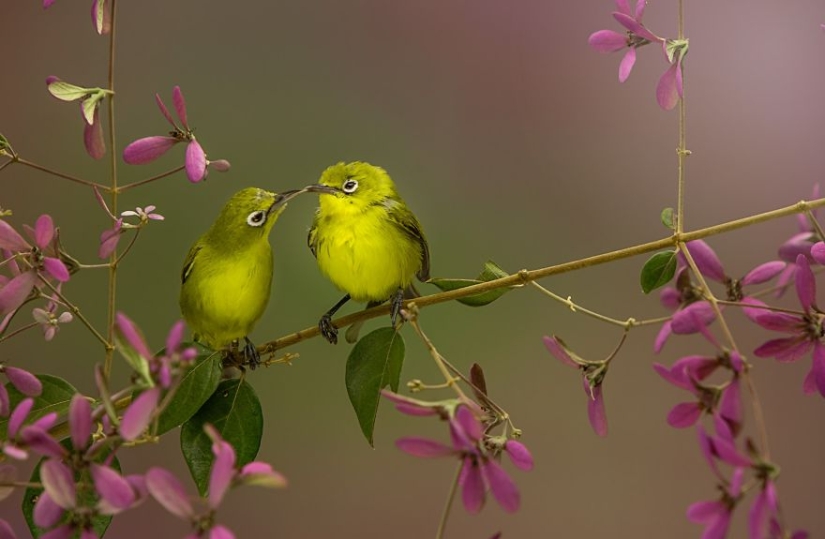 El amor está en el aire: las mejores fotos del concurso Ágora #Love2020 El amor está en el aire: las mejores fotos del concurso Ágora #Love2020