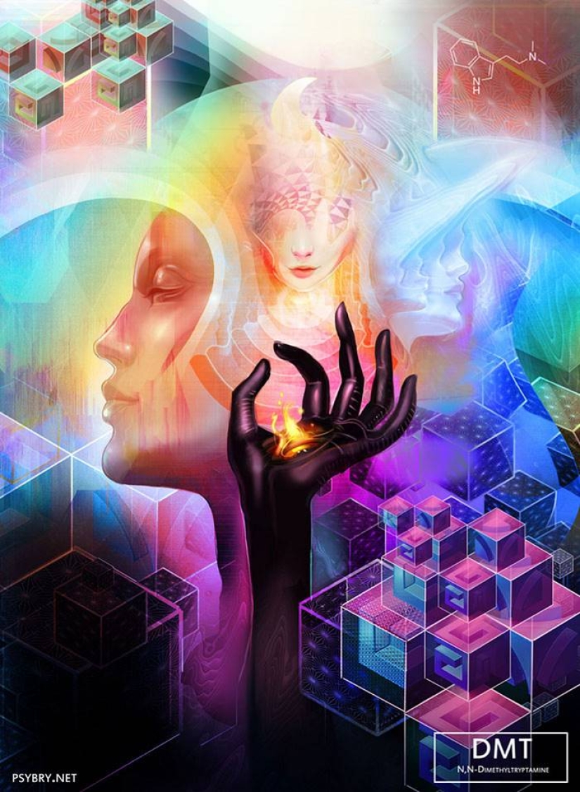 El artista tomó 20 medicamentos diferentes para demostrar los efectos de los medicamentos en el cerebro humano