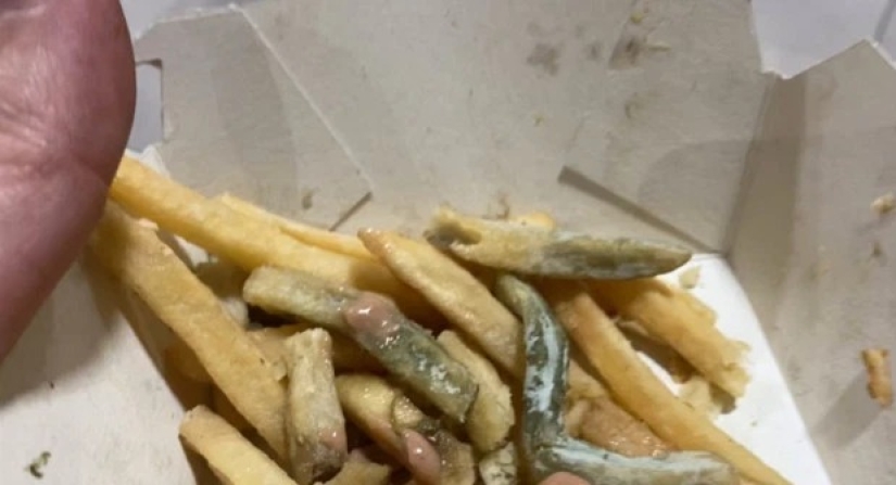 El bromista se comió una hamburguesa mohosa y papas fritas de McDonald's, que enterró en el suelo durante un año