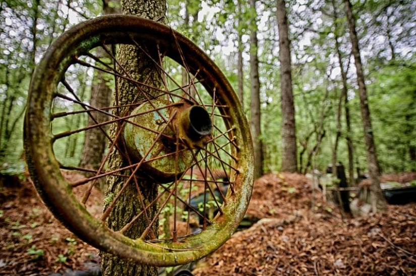 El cementerio de coches viejos más grande del mundo El cementerio de coches viejos más grande del mundo