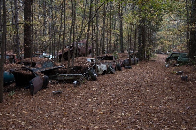 El cementerio de coches viejos más grande del mundo El cementerio de coches viejos más grande del mundo