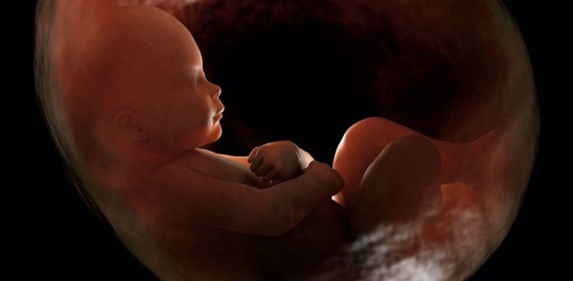 El derecho a elegir: cómo se trató el aborto en la URSS y Rusia en diferentes años El derecho a elegir: cómo se trató el aborto en la URSS y Rusia en diferentes años