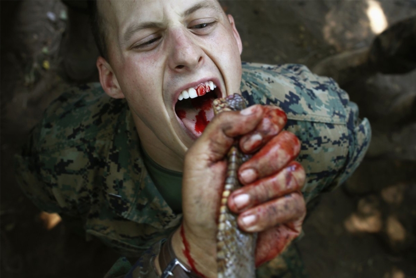 El entrenamiento militar más severo de todo el mundo El entrenamiento militar más severo de todo el mundo