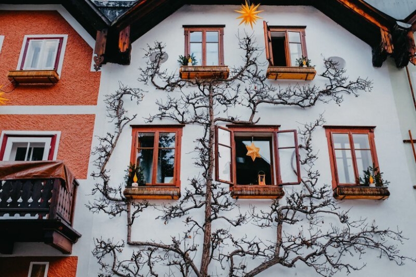 El fabuloso pueblo de Hallstatt a través de los ojos del fotógrafo georgiano Dito Tediashvili