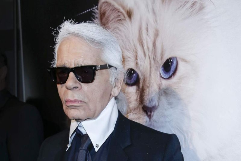 El gato de Karl Lagerfeld ganó 3 millones de euros en un año El gato de Karl Lagerfeld ganó 3 millones de euros en un año