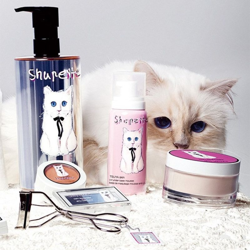 El gato de Karl Lagerfeld ganó 3 millones de euros en un año El gato de Karl Lagerfeld ganó 3 millones de euros en un año