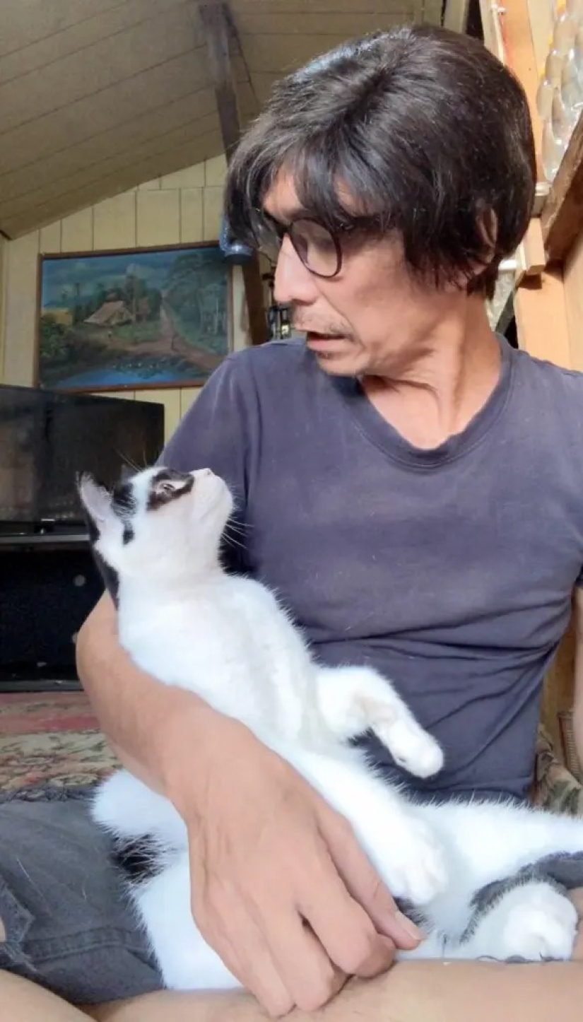 El gato se convirtió en la estrella de Tiktok por su parecido con el Zorro