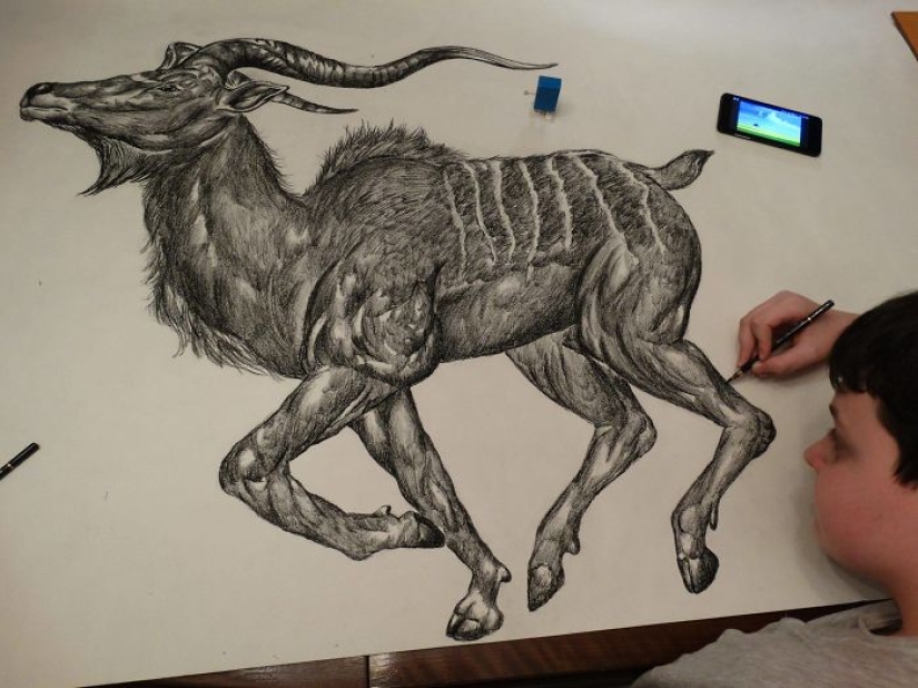 El joven serbio dibuja desde los dos años y ya está ilustrando enciclopedias El joven serbio dibuja desde los dos años y ya está ilustrando enciclopedias