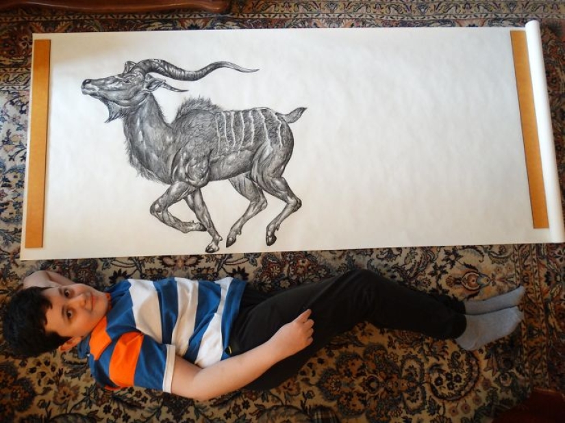 El joven serbio dibuja desde los dos años y ya está ilustrando enciclopedias El joven serbio dibuja desde los dos años y ya está ilustrando enciclopedias
