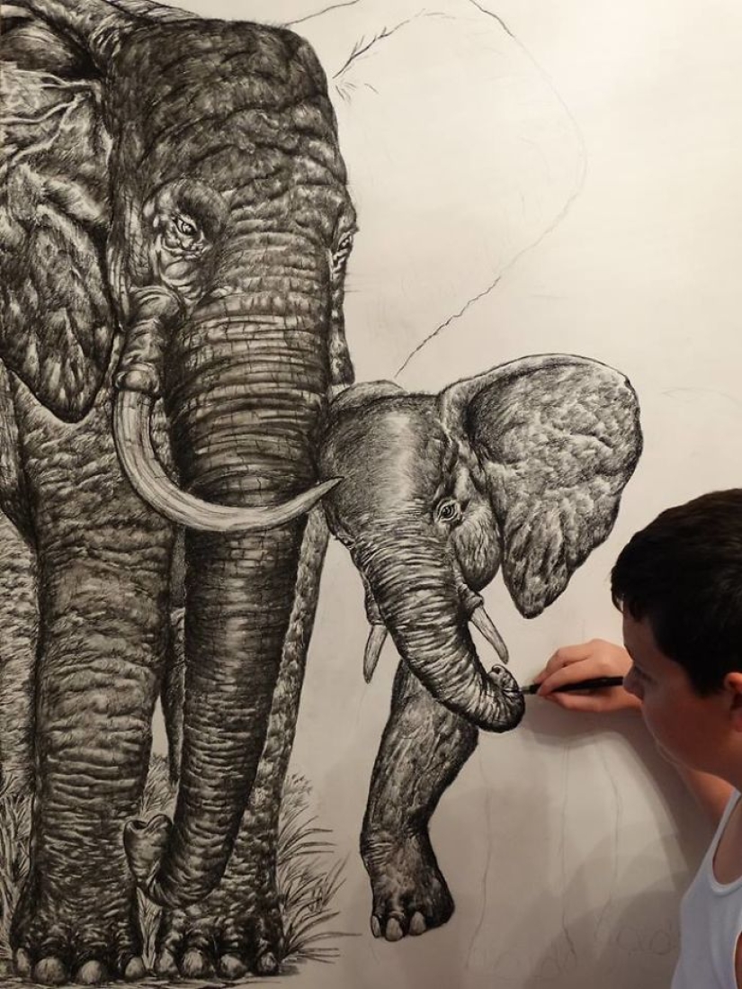 El joven serbio dibuja desde los dos años y ya está ilustrando enciclopedias El joven serbio dibuja desde los dos años y ya está ilustrando enciclopedias