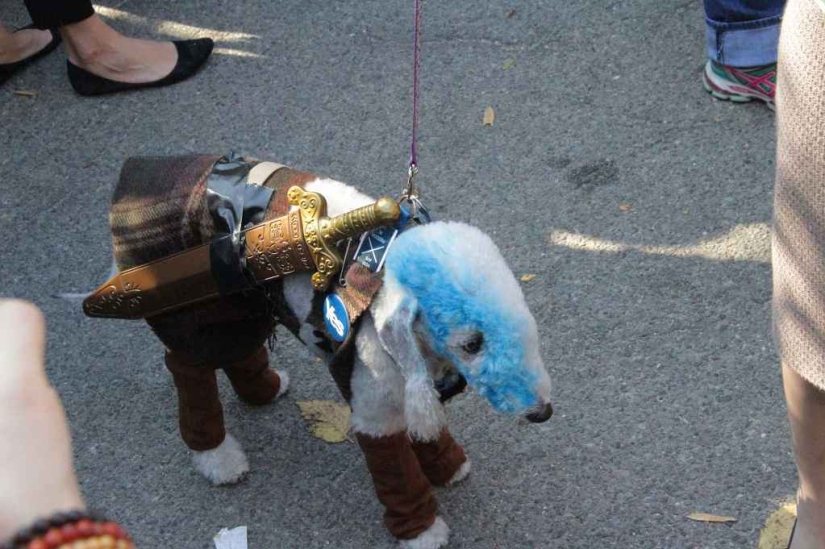 El mayor desfile de perros disfrazados El mayor desfile de perros disfrazados