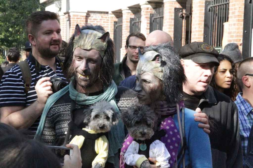 El mayor desfile de perros disfrazados El mayor desfile de perros disfrazados
