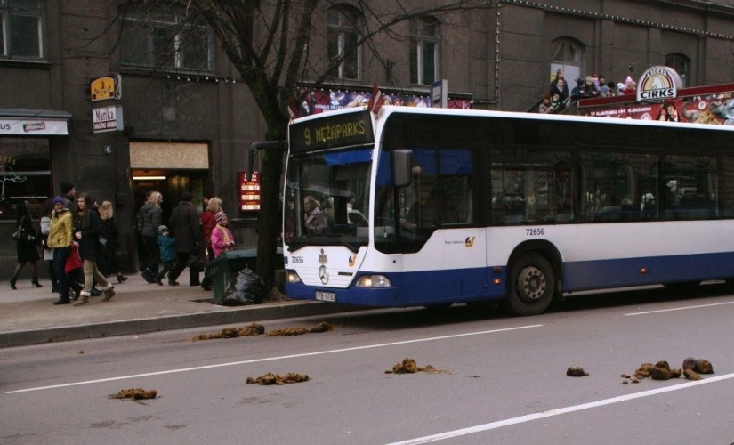 El momento de la descomposición de la basura en las fotos