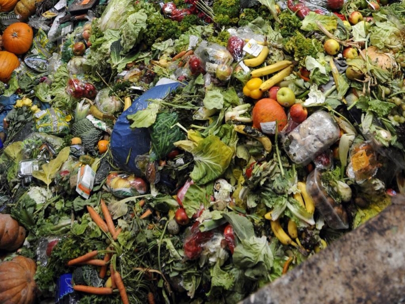 El momento de la descomposición de la basura en las fotos