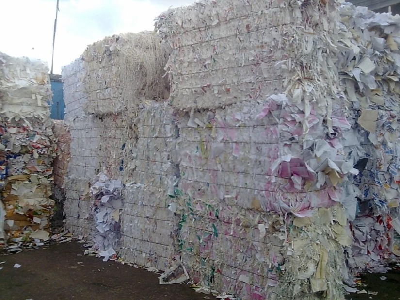 El momento de la descomposición de la basura en las fotos