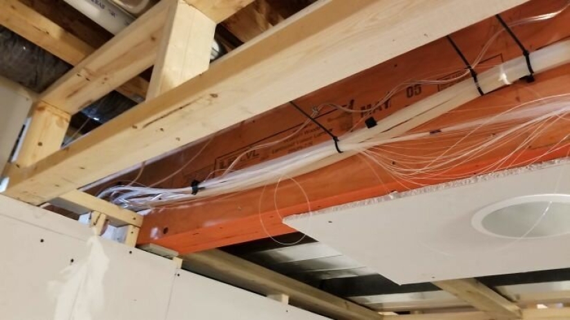 El paraíso de los gatos con sus propias manos: el tipo convirtió el sótano en una habitación para las mascotas de su hermano muerto El paraíso de los gatos con sus propias manos: el tipo convirtió el sótano en una habitación para las mascotas de su hermano muerto