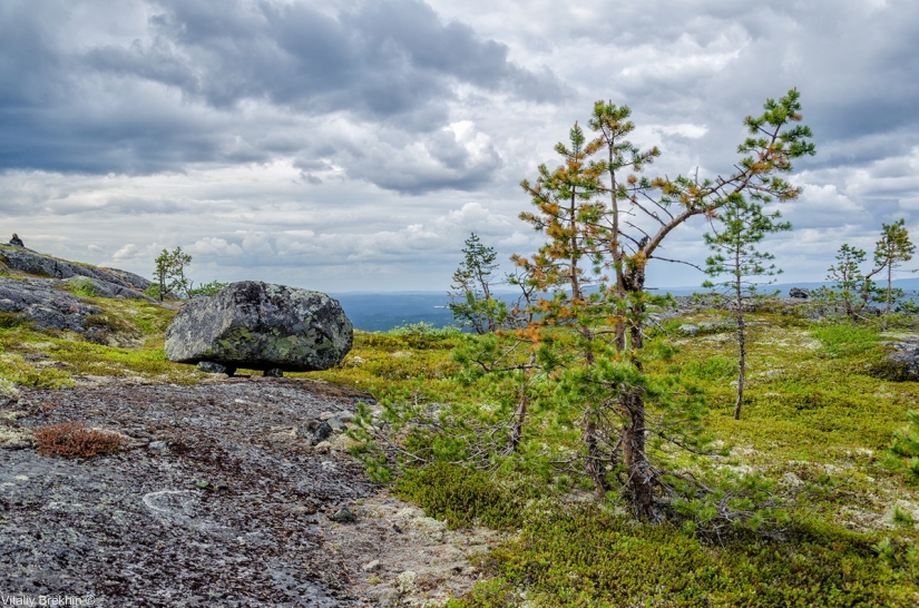El Parque Nacional Paanajarvi es un lugar donde el tiempo se ralentiza