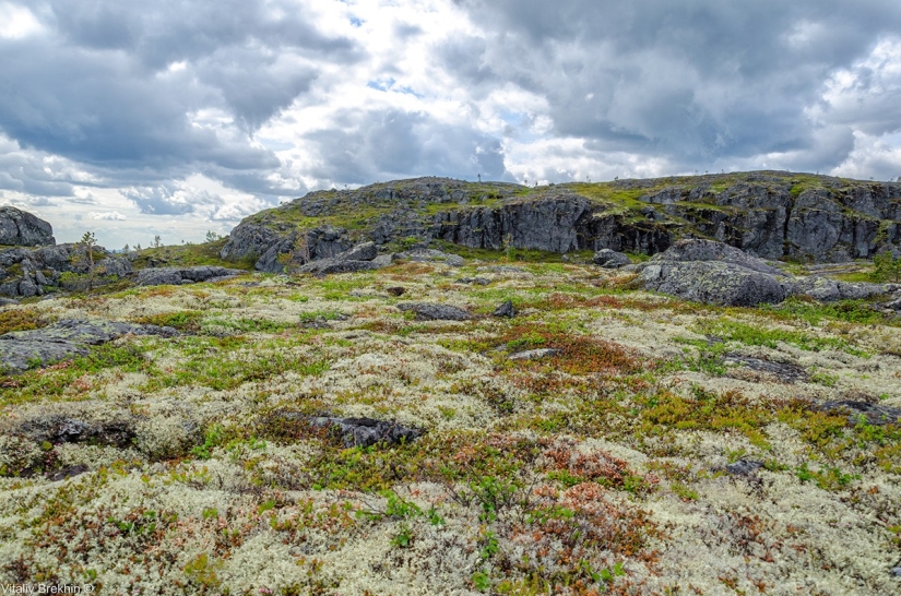 El Parque Nacional Paanajarvi es un lugar donde el tiempo se ralentiza