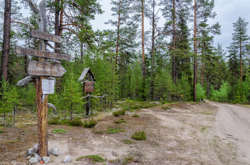 El Parque Nacional Paanajarvi es un lugar donde el tiempo se ralentiza