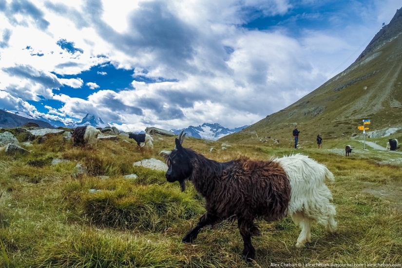 El pico de montaña más hermoso del mundo El pico de montaña más hermoso del mundo