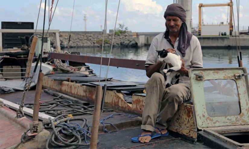 El polo estuvo a la deriva en el océano durante 7 meses en compañía de un gato