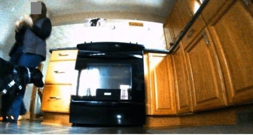 El sueño de un pervertido: un robot aspirador se quitó a la anfitriona en el inodoro y filtró una foto