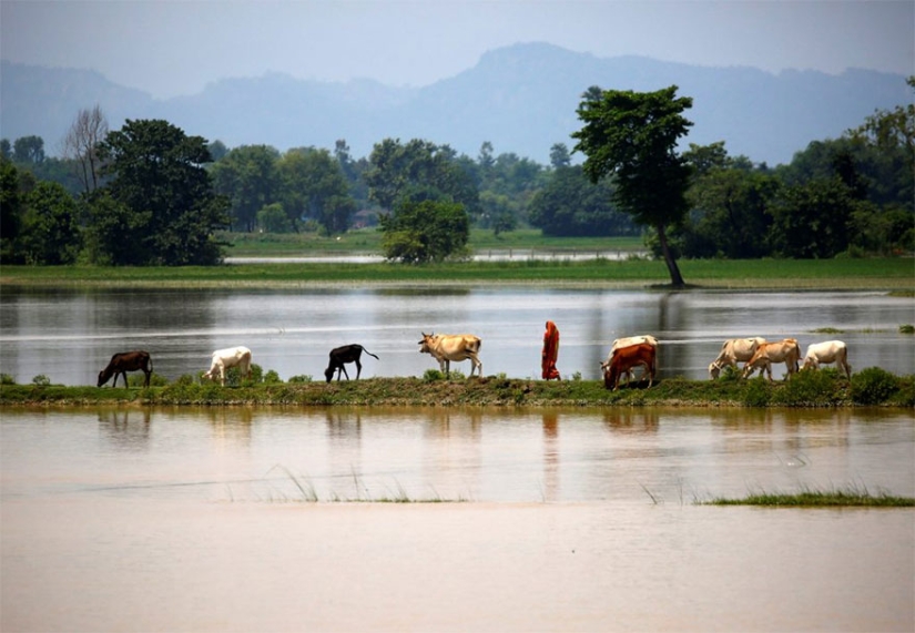 El sur de Asia sufre las peores inundaciones en una década, pero nadie habla de ello