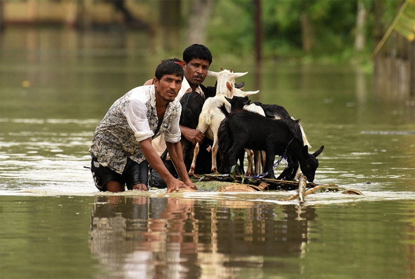 El sur de Asia sufre las peores inundaciones en una década, pero nadie habla de ello