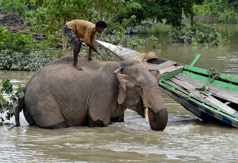 El sur de Asia sufre las peores inundaciones en una década, pero nadie habla de ello