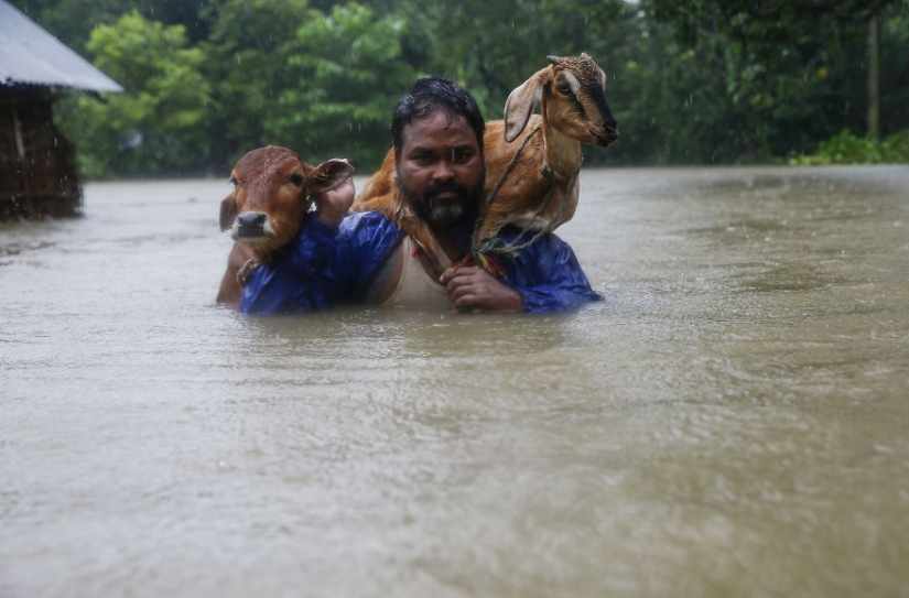 El sur de Asia sufre las peores inundaciones en una década, pero nadie habla de ello